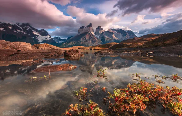 Картинка Чили, Южная Америка, Патагония, Февраль, горы Анды, Nordenskjöld Lake, национальный парк Торрес-дель-Пайне