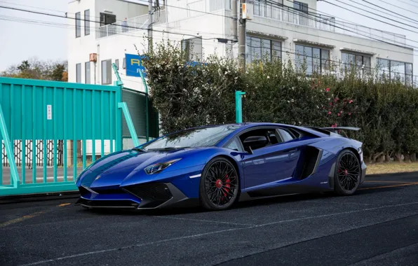 Картинка Lamborghini, Blue, Street, Aventador, Superveloce, LP-750