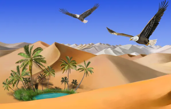 Картинка песок, озеро, пальмы, Пустыня, оазис, полёт, орлов