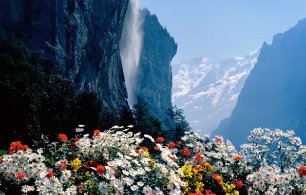 Картинка Цветы, Водопад, Швейцария
