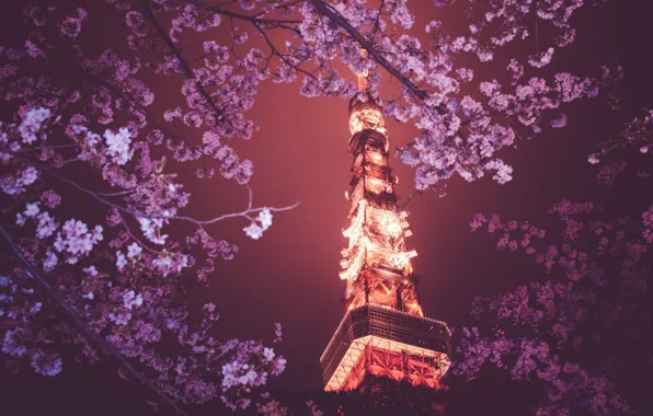 Картинка деревья, огни, Париж, Эйфелева башня, Paris, France, Eiffel Tower
