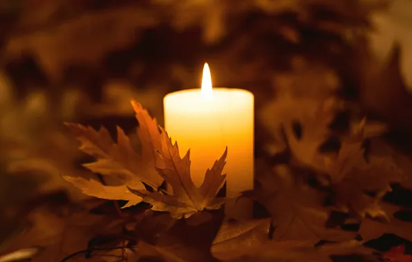 Картинка осень, листья, огонь, свеча