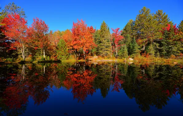 Картинка осень, лес, небо, деревья, пруд, отражение