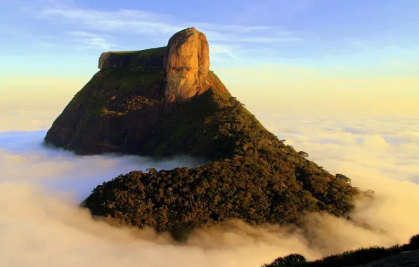 Картинка лес, облака, rock, рок, Бразилия, Рио-де-Жанейро, clouds, Brasil, Rio de Janeiro, Pedra da Gávea, florest, …