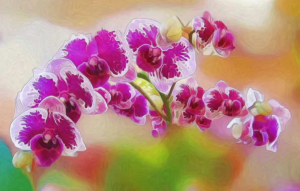 Картинка линии, цветы, краски, лепестки, орхидея, штрих