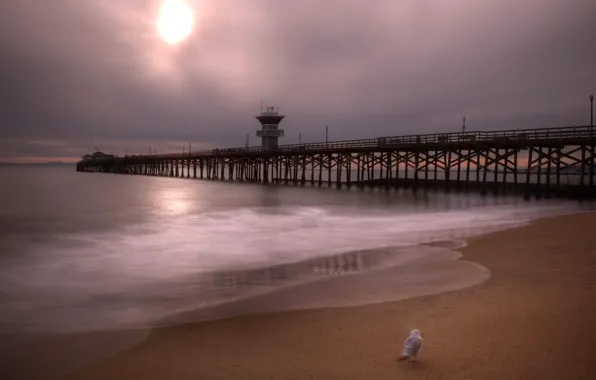Картинка море, небо, облака, птица, hdr, пирс, США, California, Orange County