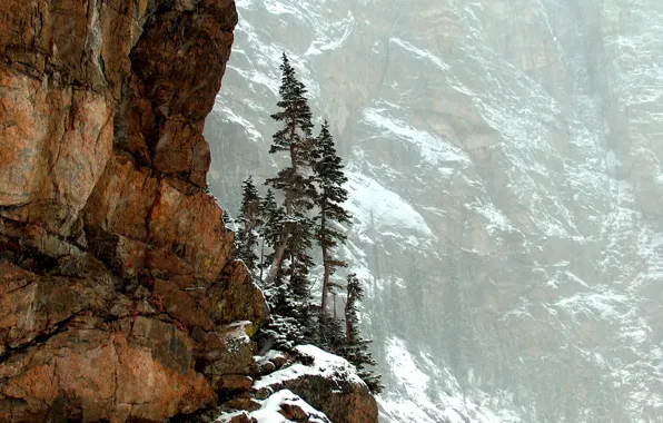 Картинка деревья, горы, природа, скалы, Colorado, Rocky Mountain National Park