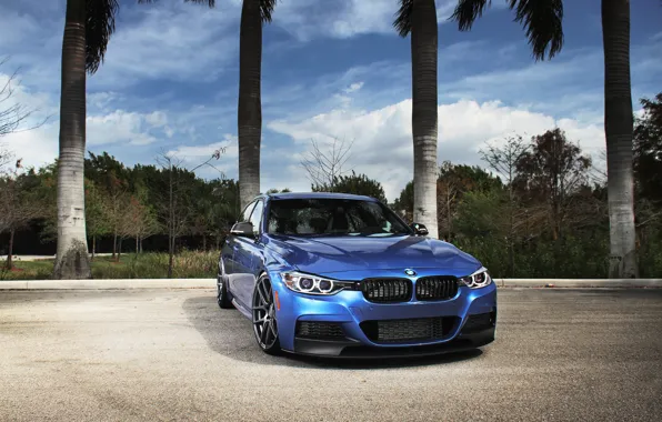Картинка синий, бмв, BMW, blue, tuning, F30, 3 серия