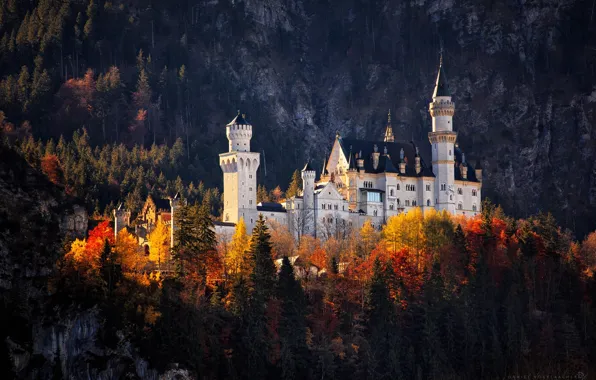 Картинка осень, лес, замок, германия