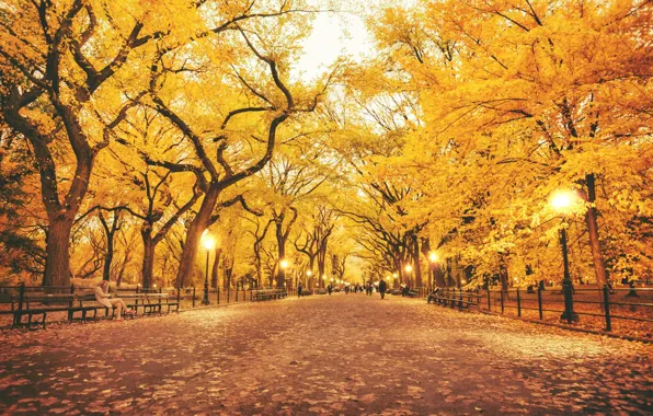 Картинка осень, листья, деревья, парк, фонари, фонарные столбы, скамейки люди