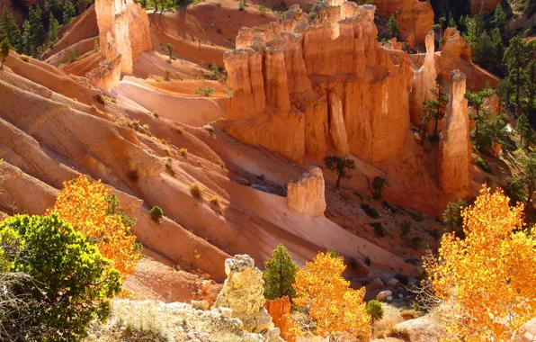 Картинка осень, Юта, USA, США, Брайс-Каньон, autumn, Utah, Bryce Canyon