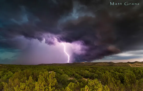 Картинка лес, тучи, шторм, США, Техас, южный