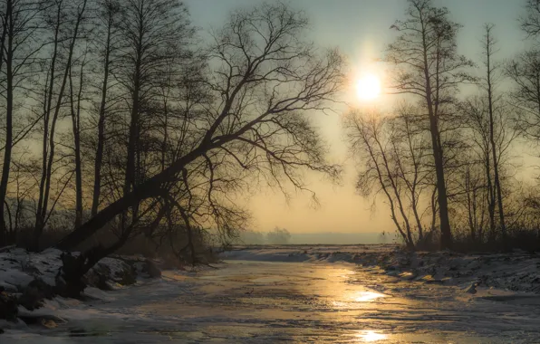 Картинка лед, зима, солнце, снег, деревья, река