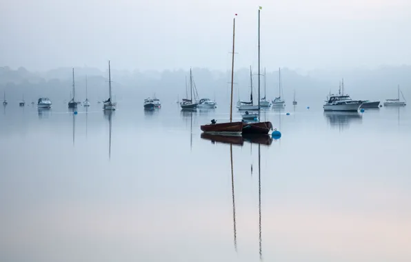 Картинка туман, озеро, тишина, лодки, утро, покой
