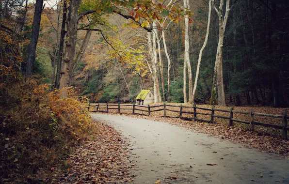 Картинка road, autumn, leaves, fence, fall, foliage, hut, woodland, wood fence, turf hat