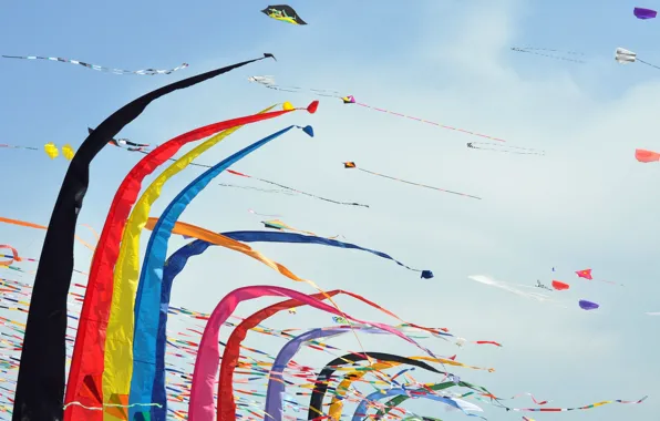 Картинка festival, aquiloni, kites, colori