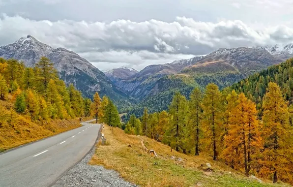 Картинка дорога, осень, лес, деревья, горы, Швейцария, кантон Граубюнден, Alvaneu Dorf