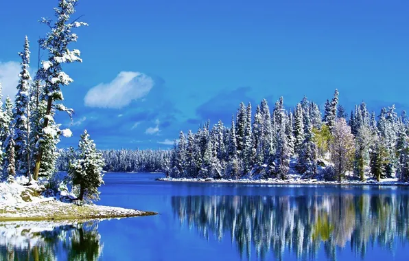 Картинка зима, небо, снег, деревья, пейзаж, озеро