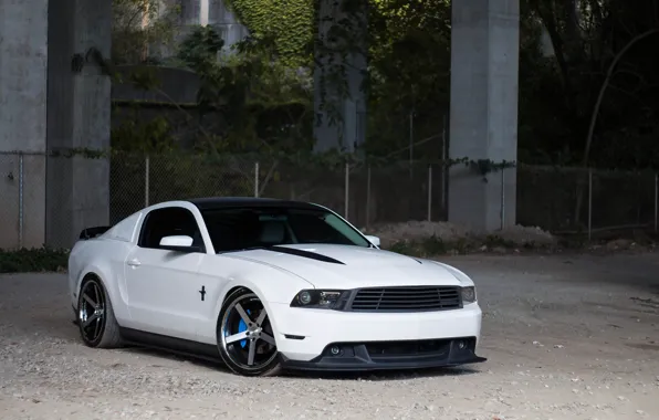 Картинка Mustang, Ford, White