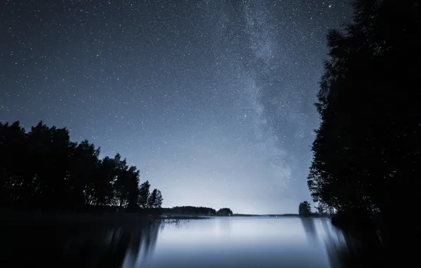 Картинка лес, звезды, ночь, озеро, млечный путь