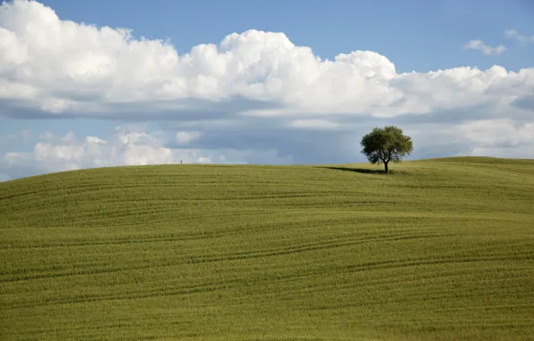Картинка green, field, clouds, tree, countryside, farm, farmland, countryside scene