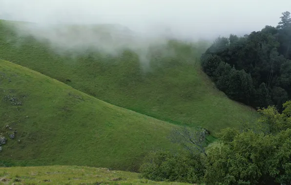 Картинка зеленый, туман, холмы
