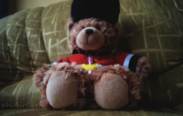 Картинка игрушка, мишка, медвежонок, bear, teddy, teddy bear