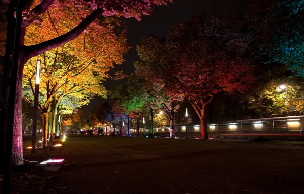 Картинка деревья, ночь, город, лампы, улица, Германия, освещение, подсветка, фонари, аллея, Берлин, ``Фестиваль света``