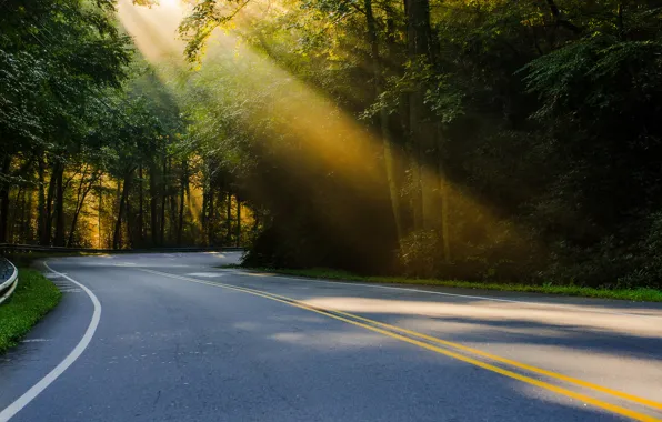 Картинка дорога, лес, лето, свет, природа, США, сонце, Северная Каролина, regularjoe Photography
