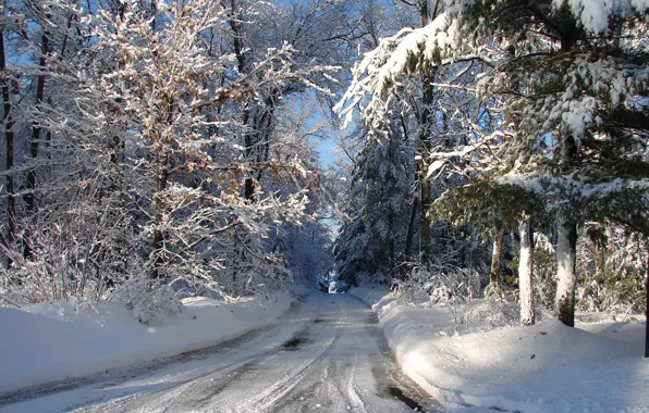 Картинка зима, дорога, лес, снег, мороз, Висконсин, USA, США, forest, road, winter, Wisconsin, frost