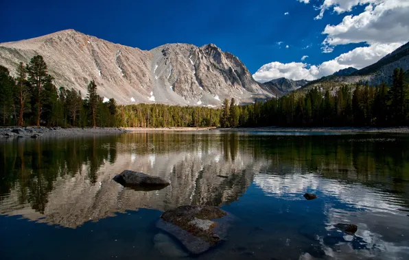 Картинка лес, горы, отражение, Калифорния, California, Сьерра-Невада, озеро Дороти, Dorothy Lake, Sierra Nevada
