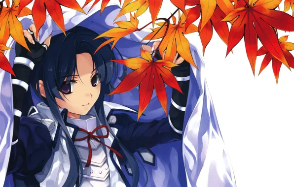 Картинка листья, девушка, uesugi kenshin