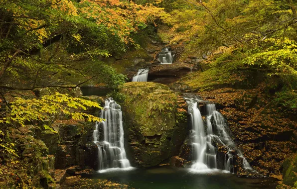 Картинка осень, лес, листья, деревья, ручей, камни, водопад, мох, желтые, кусты