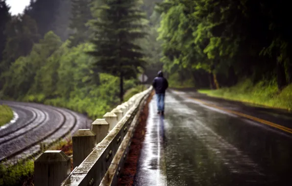 Картинка дорога, дождь, забор