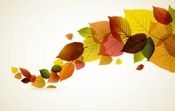 Картинка осень, листья, минимализм, вектор