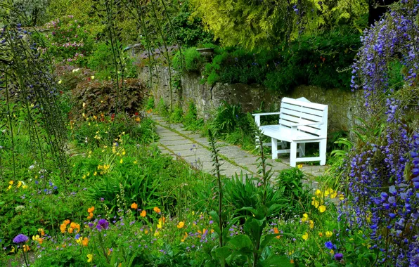 Картинка цветы, парк, сад, скамья