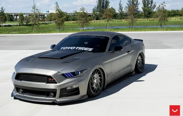 Картинка Mustang, Ford, Performance, Roush, 2015, Bagged