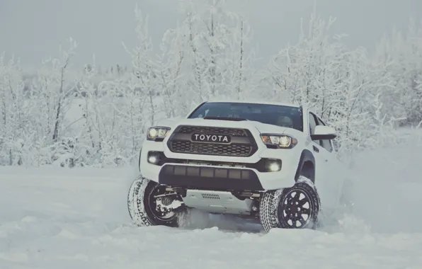 Картинка зима, снег, white, Toyota, пикап, snow, pickup, TRD, Tacoma