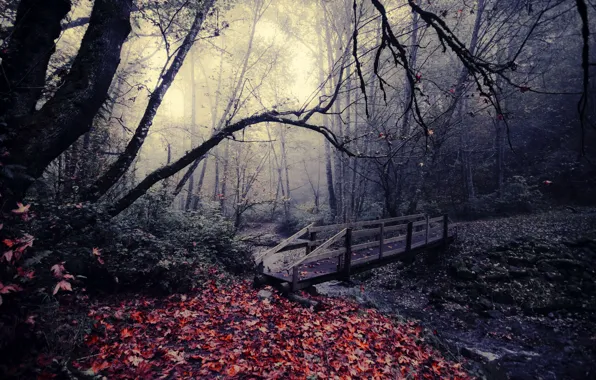 Картинка осень, листья, мост, природа, парк