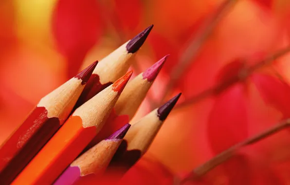Картинка макро, фон, карандаши, цветные карандаши