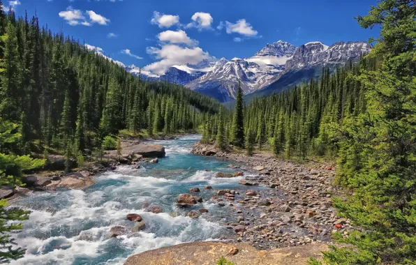 Картинка лес, горы, река, Канада, Альберта, Banff National Park, Alberta, Canada, Mistaya River, Национальный парк Банф
