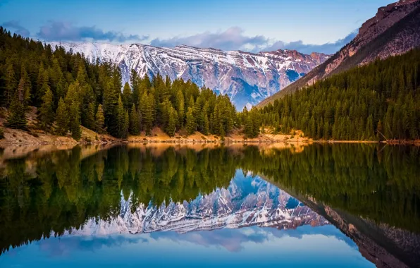 Картинка лес, отражения, горы, озеро, Канада, Альберта
