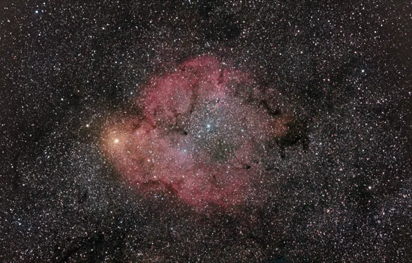 Картинка туманность, эмиссионная, IC 1396, в Цефее