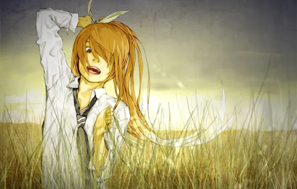 Картинка поле, трава, руки, галстук, парень, vocaloid, вокалоид, челка, серое небо, белая рубашка, Ien Kagamine