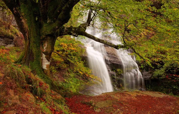 Картинка осень, природа, водопад