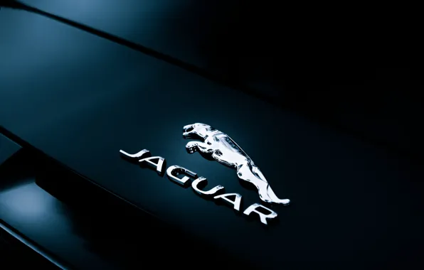 Картинка Jaguar, шильдик, Convertible, F-Type, rear badge