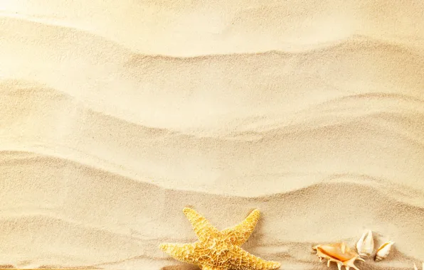 Картинка песок, волны, ракушки, морская звезда