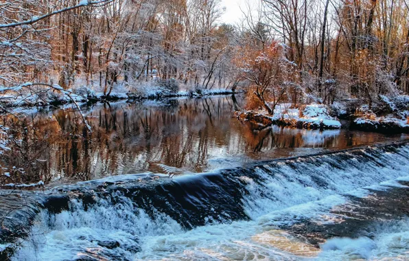 Картинка зима, лес, река, поток, порог