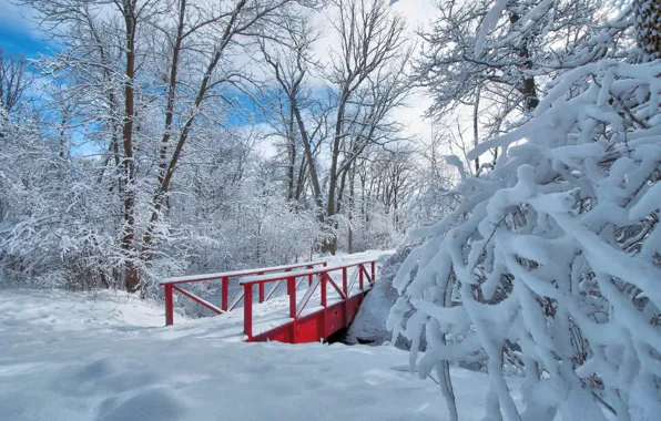 Картинка зима, снег, деревья, парк, мостик
