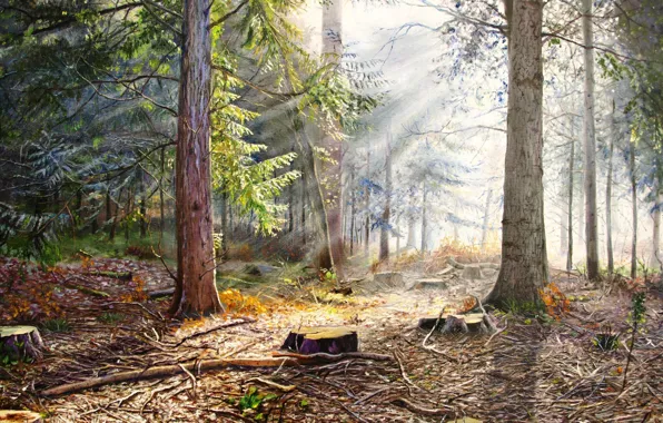 Картинка лес, лето, деревья, рассвет, картина, утро, живопись, пеньки, просека, Луценко
